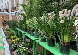 Fruehlingserwachen In Der Goethe Galerie In Jena 2022 005