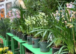 Fruehlingserwachen In Der Goethe Galerie In Jena 2022 006