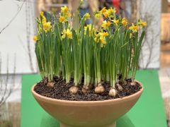 Fruehlingserwachen In Der Goethe Galerie In Jena 2022 007