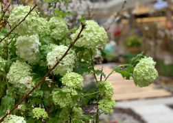 Fruehlingserwachen In Der Goethe Galerie In Jena 2022 009