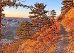 Spaziergang Entlang Studentenrutsche 002