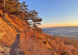 Spaziergang Entlang Studentenrutsche 003