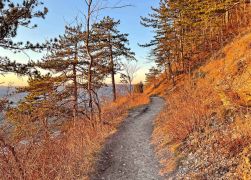 Spaziergang Entlang Studentenrutsche 009