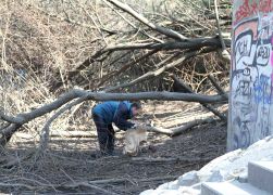 SaalePutz In Jena 2022 JN 0004