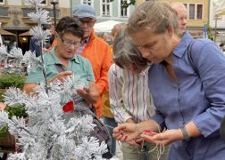 Tausende Beim Toepfermarkt In Jena 000024