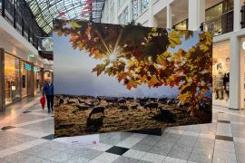Bilderauktion In Jena Fuer Hospiz Startet Wieder 06