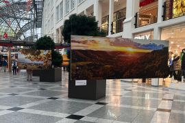 Bilderauktion In Jena Fuer Hospiz Startet Wieder 07