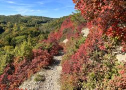 Die Perueckenstraeucher Im Jenaer Muehltal Herbst 2022 17