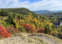 Die Perueckenstraeucher Im Jenaer Muehltal Herbst 2022 21
