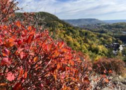 Die Perueckenstraeucher Im Jenaer Muehltal Herbst 2022 22