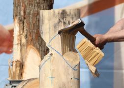 Thueringer Holzmarkt 2023 In Jena 05