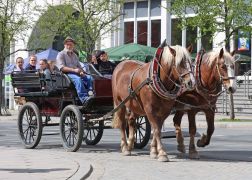 Thueringer Holzmarkt 2023 In Jena 15