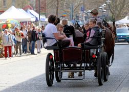 Thueringer Holzmarkt 2023 In Jena 16