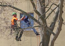 Thueringer Holzmarkt 2023 In Jena 42