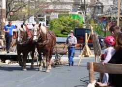 Thueringer Holzmarkt 2023 In Jena 47