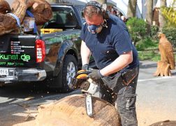 Thueringer Holzmarkt 2023 In Jena 52