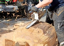 Thueringer Holzmarkt 2023 In Jena 53