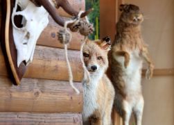 Thueringer Holzmarkt 2023 In Jena 56