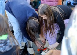 Hunderte Bei Roller Disco In Jena 28