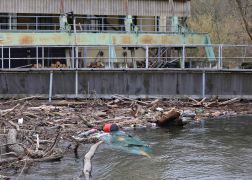 Kanu Gekentert Unglueck Bei SaalePutz In Jena 08