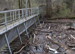 Kanu Gekentert Unglueck Bei SaalePutz In Jena 10