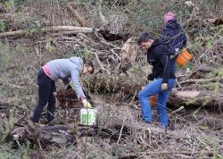 SaalePutz 2023 In Jena 26