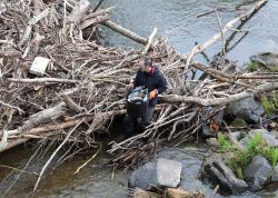 SaalePutz 2023 In Jena 27