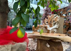 Fruehling In Der Goethe Galerie In Jena 2023 02