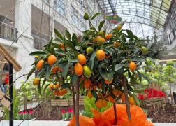 Fruehling In Der Goethe Galerie In Jena 2023 04