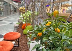 Fruehling In Der Goethe Galerie In Jena 2023 11