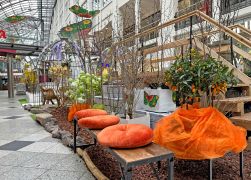 Fruehling In Der Goethe Galerie In Jena 2023 12