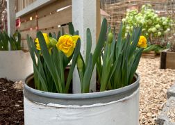 Fruehling In Der Goethe Galerie In Jena 2023 13