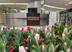Fruehling In Der Goethe Galerie In Jena 2023 16