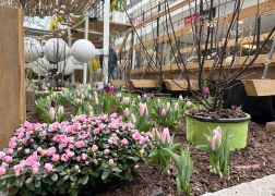 Fruehling In Der Goethe Galerie In Jena 2023 18