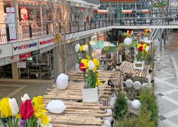 Fruehling In Der Goethe Galerie In Jena 2023 20