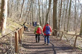 Winterlinge In Jena 2023 06