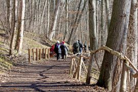 Winterlinge In Jena 2023 14