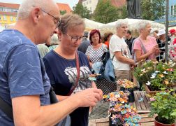 Toepfermarkt Jena 2023 11