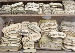 Toepfermarkt Jena 2023 13