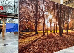 Jena Bilder Fuer Hospiz Unterm Hammer 14