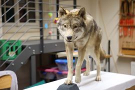 Talschule In Jena Begeisterte Mit Wissenschaft 15