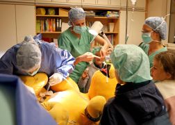 Talschule In Jena Begeisterte Mit Wissenschaft 19