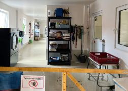 25 Jahre Tierheim In Jena Jubilaeum Mit Grossem Fest Gefeiert 18