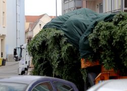 Polizei Eskorte Fuer Jenas Weihnachtsbaeume JN03