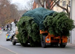 Polizei Eskorte Fuer Jenas Weihnachtsbaeume JN06