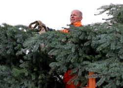 Polizei Eskorte Fuer Jenas Weihnachtsbaeume JN07