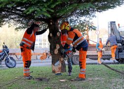 Polizei Eskorte Fuer Jenas Weihnachtsbaeume JN09