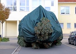 Polizei Eskorte Fuer Jenas Weihnachtsbaeume JN16