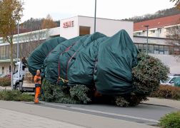 Polizei Eskorte Fuer Jenas Weihnachtsbaeume JN17