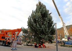 Polizei Eskorte Fuer Jenas Weihnachtsbaeume JN20